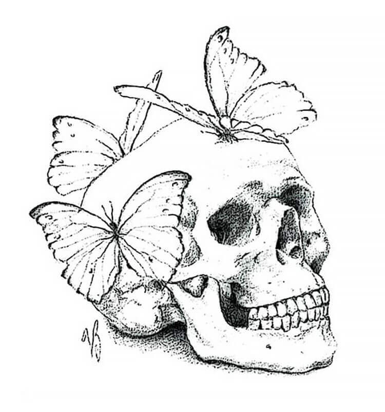 Draw a Skull with Butterflies