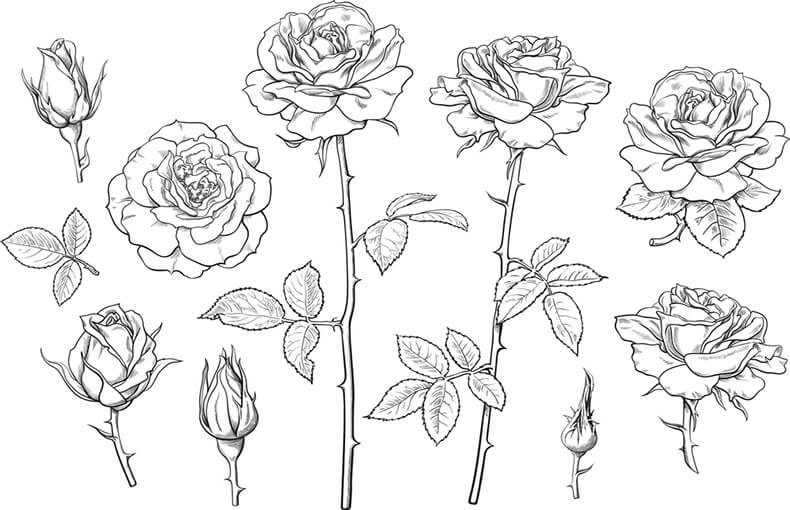How to Draw a Rose - Easy Step by Step Drawing for Kids and Beginners-saigonsouth.com.vn
