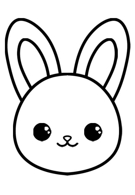 Draw the Bunny's Head and Body