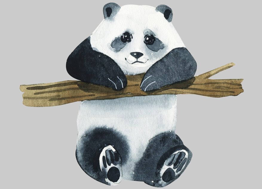 How to Draw a Cartoon Panda in a Few Easy Steps